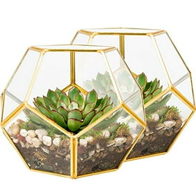 Succulents Eloquent Design Plants KooK Geometric Glass Terrarium Votive Candle Holder Black